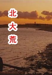 国内精品伊人久久久